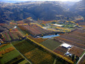 An Autumn westward view of Sam Neill's larger Earnscleugh Flats 57-acre property, near Clyde. Some 12.5 acres of it are planted in Pinot Noir, and 2.5 acres in Riesling. He acquired the property in about 2000 from the Ministry of Agriculture who had used it for food and crop horticultural trials. Neill re-named the property 
