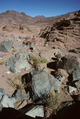 Eastward view down small boulder-strewn, sparsely-vegetated wadi entering Wadi Es Sadad centre-picture in distance.  