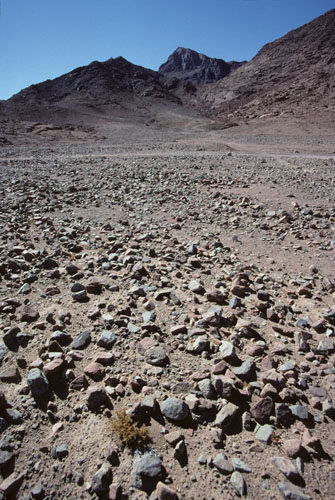 Mount Sinai, height 2382m, also called Mt Horeb in the scriptures, seen upper mid-picture in a south-westward view from the rock-strewn plain of Wadi es Sadad about 2 kilometers north of its junction with Wadi Sebaiyeh. The mountain seen here to the left of Mt Sinai is Jebel el Muneijah, height 1825m, believed by some to be the true Mt Moses, or Jebel Musa, where the Law was given. 