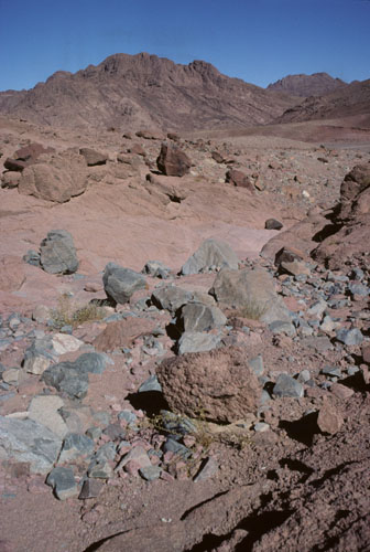 Eastward view down small boulder-strewn, sparsely-vegetated wadi entering Wadi Es Sadad on right in distance.